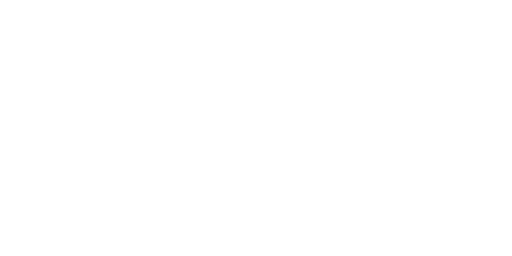 The Hanz Photography